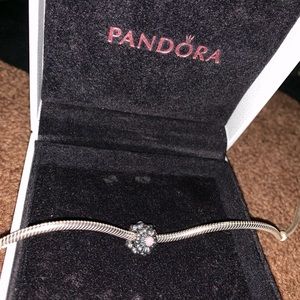 PANDORA CHARM!